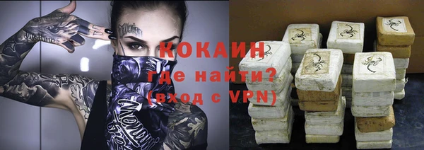 a pvp Няндома