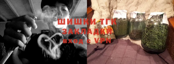 мдпв Новозыбков