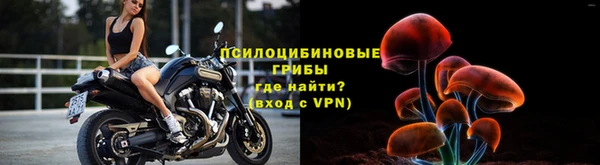 mdpv Нязепетровск
