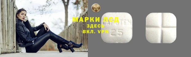 прущие крисы Елизово