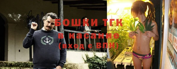 a pvp Няндома