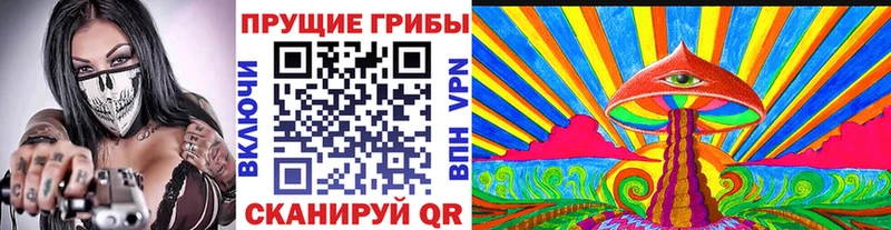 Галлюциногенные грибы Psilocybe  Кола 